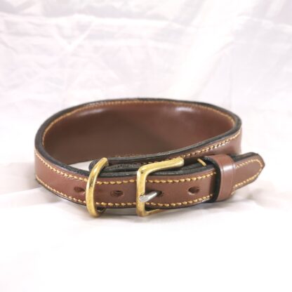 Insert dog collar by Collars and Cuffs - buckle side