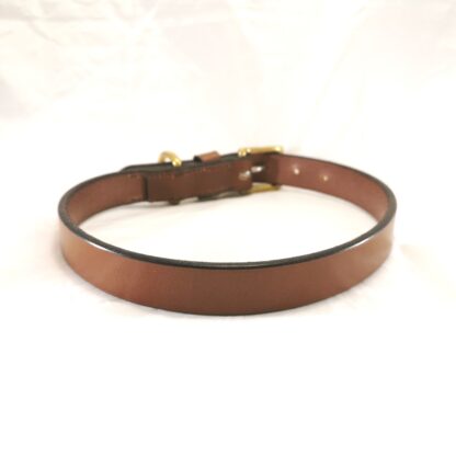 Dog Collar - Classic Style in Conker by Collar and Cuffs - Large, back