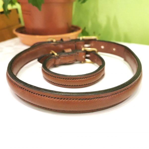 Dog Collar - Raised Style in Conker by Collar and Cuffs - Lifestyle